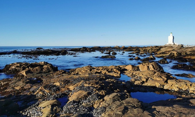 Shelley Point House | Vacation home with ocean views - 5mins from the beach!