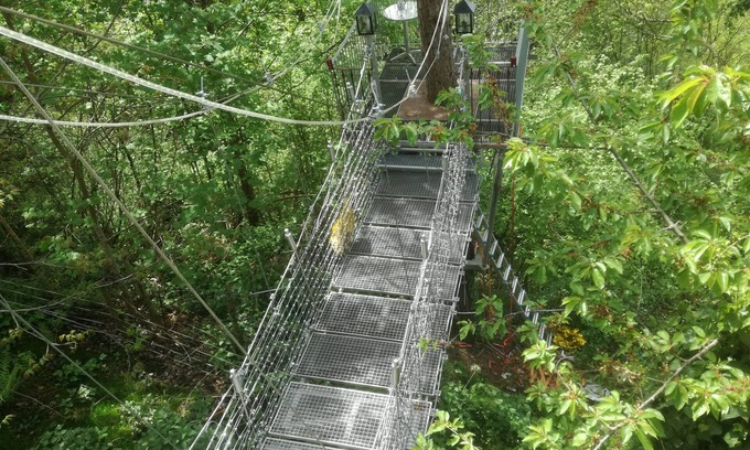 Bundenthal Apartment | Vacation in the treetops