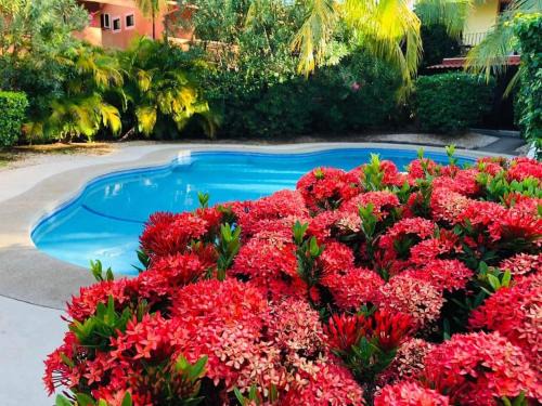 Coco House | Valle Dorado 9