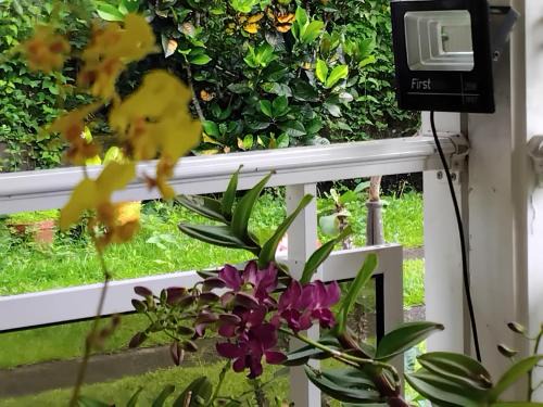Capesterre-Belle-Eau Apartment | Vanille