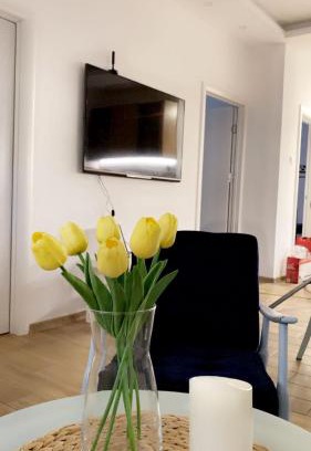 Vrsac Apartment | Vanja Apartman