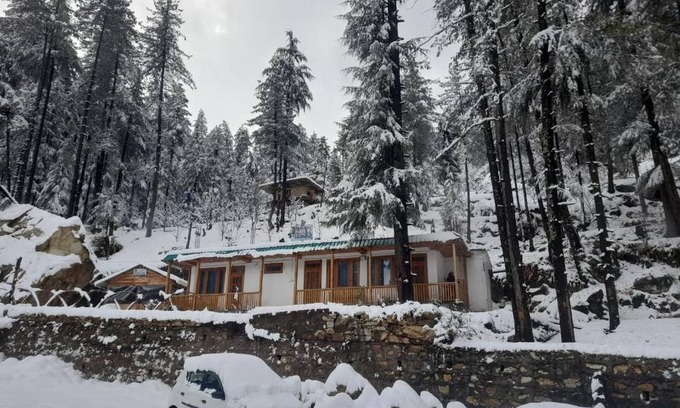 Mohal Cottage | Vansh Green View Homestay