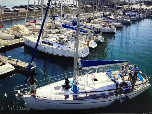 Belem Boat Rental | Veleiro Oceanico de 12 m