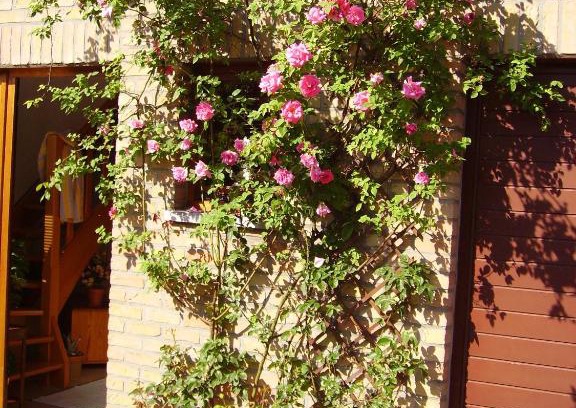 Dison Villa | Verviers Maison Entiere 5 adultes à 8 personnes
