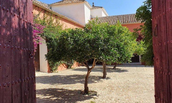Teba House | Very comfortable hotel, nature and art in a beautiful place full of history.