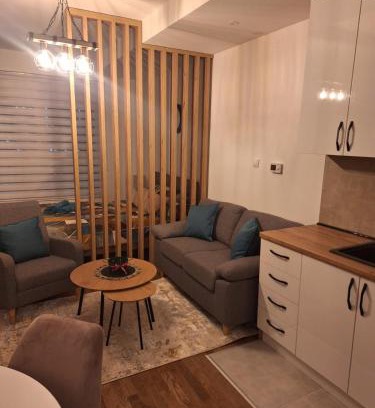 Kragujevac Apartment | Victory