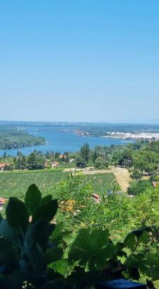 Smederevo House | View Point House