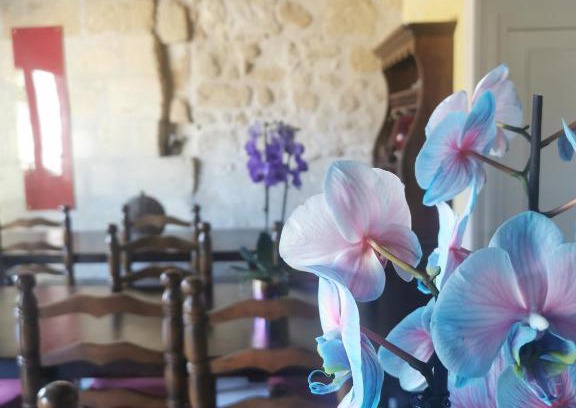 Saint-Emilion Bed & Breakfast | Vignobles Fabris