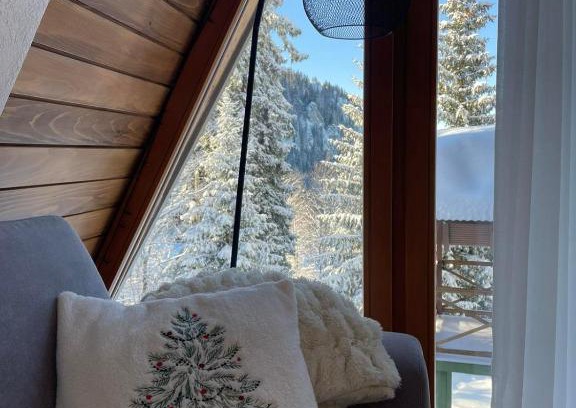 Jahorina Ski Chalet | Vikendica - uz stazu