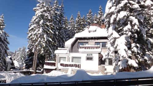 Cioplea Ski Chalet | Vila Filip