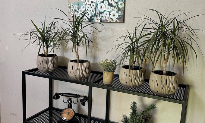 Tirana Apartment | Vila Guza