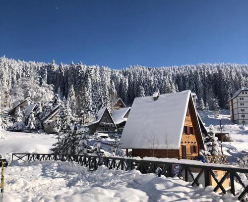 Kopaonik Apartment | Vila Irina - Apartman Miloš