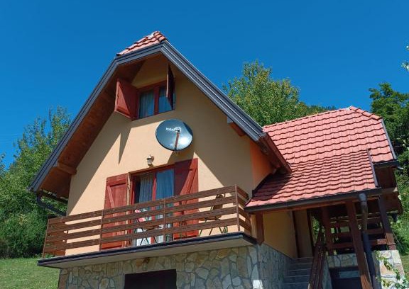 Bajina Basta Villa | Vila Mitrović