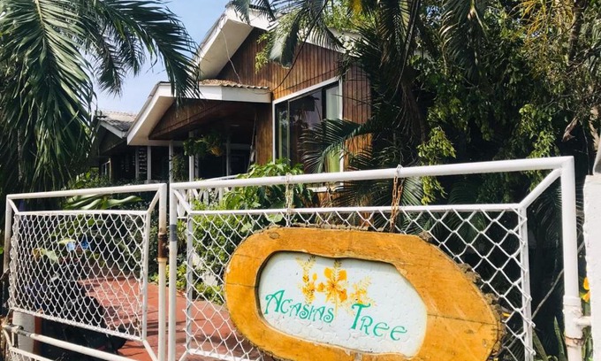 San Andres House | Villa acacias tree