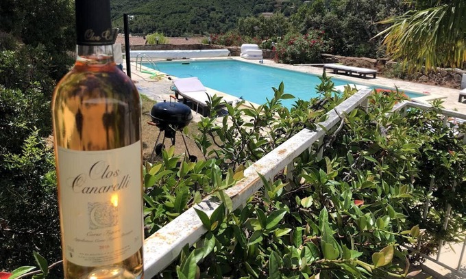 Tarcu House | Villa Acqua Luce sea view pool in Tarco