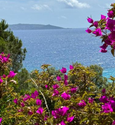 Olmeto House | Villa acula