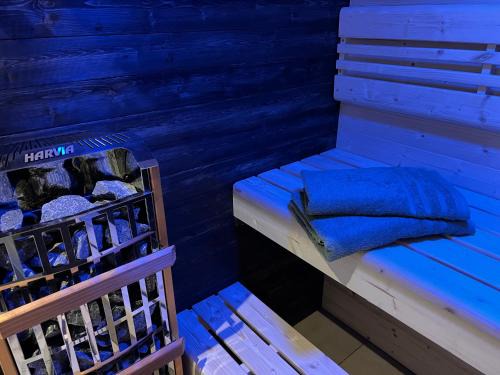 Braunlage Apartment | VILLA am Paulsberg mit Sauna - V2
