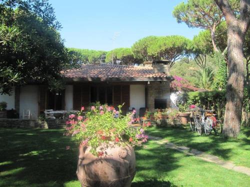 Castiglione della Pescaia Apartment | Villa Ancora