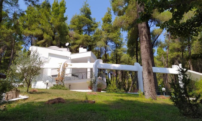 Sane Villa | Villa Angie