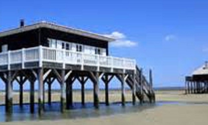 Loupes Villa | Villa between Bordeaux and St Emilion, 60 minutes from the Dune du Pyla and Arcachon