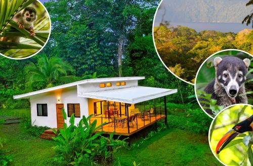 Puerto Jimenez Villa | Villa Bruno - Jungle Lodge Near Corcovado & Puerto Jiménez