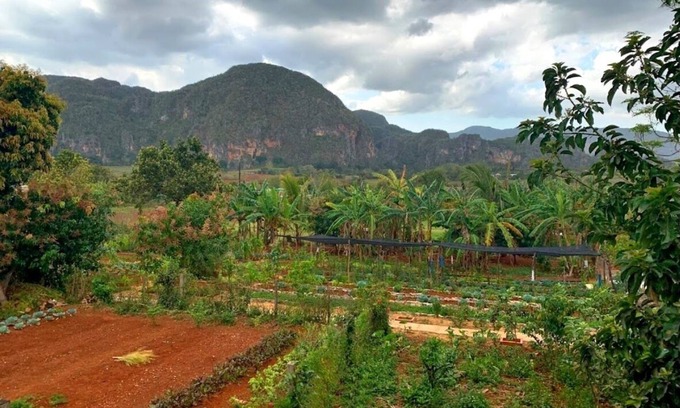 Vinales Bed & Breakfast | Villa Coco Solo