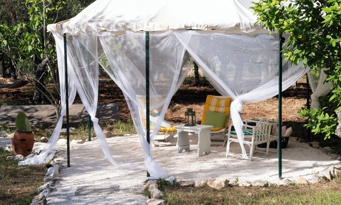 Impalata Bed & Breakfast | Villa Dan