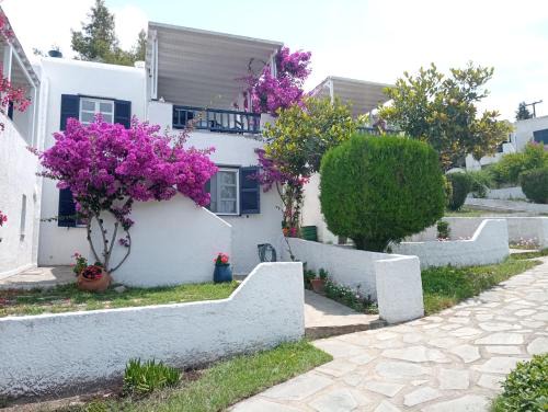 Sithonia House | Villa Danai