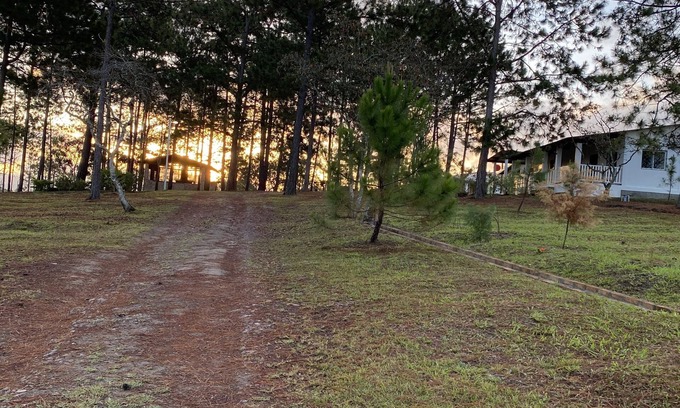 Siguatepeque House | Villa de la Rosa R&R – Cozy 2-Bedroom Cabin in the Pines of Siguatepeque