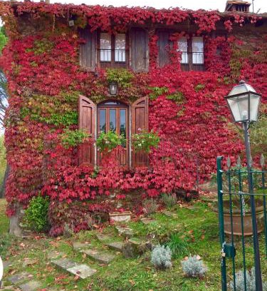 Barberino di Mugello Bed & Breakfast | Villa del lago