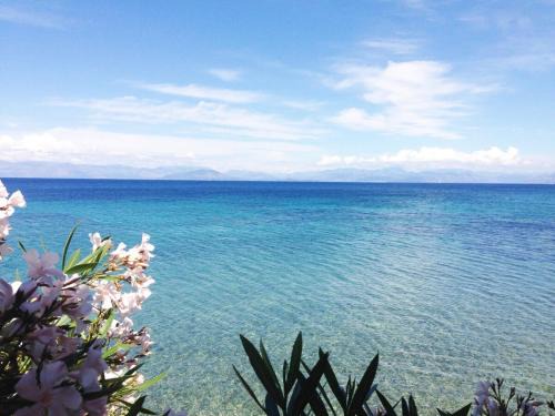 Notos House | Villa Diana Beachfront Vacation Home