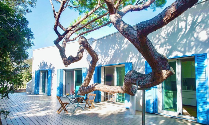 San Vincenzo Villa | Villa Duna Blu