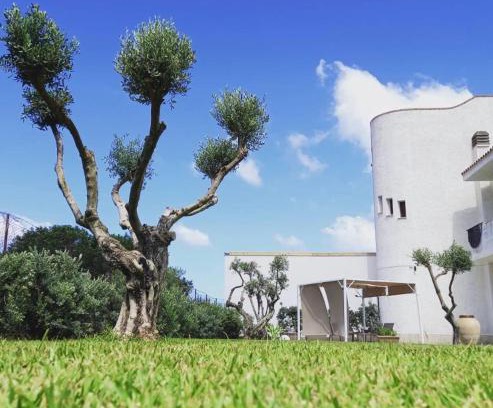 Terrasini Apartment | Villa Eagle
