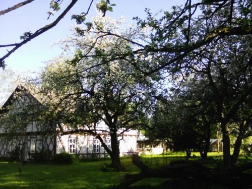 Gutzkow Apartment | Villa Eden Peene