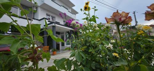 Gjerana House | Villa Grafenberg Ulcinj