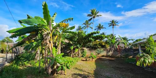 Las Galeras Apartment | Villa Jardín Tropical