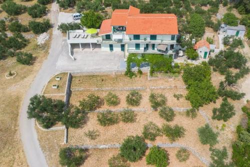 Zelenka Apartment | Villa Jelena