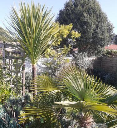 Saint-Jean-de-Monts Bed & Breakfast | Villa Les Palmiers