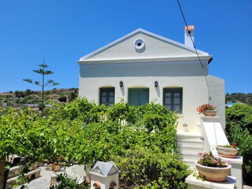 Naxos Villa | Villa Matakia