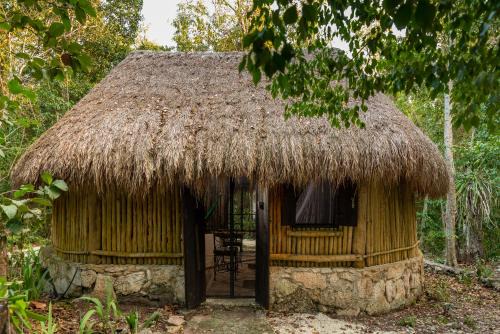 Cozumel Other | Villa Maya - Glamping - Natural Reserve