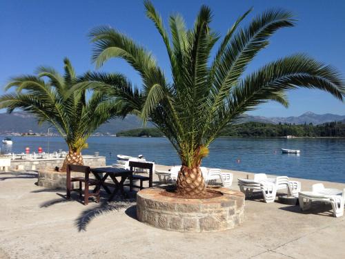 Tivat Apartment | Villa Milovic, 3 appartements les pieds dans l'eau!
