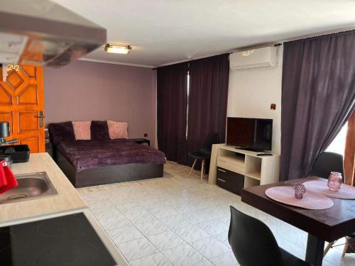 Sveti Vlas Apartment | Villa Nikoleta
