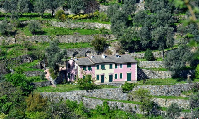 San Rocco Apartment | Villa Olivari - apt la Lavanda
