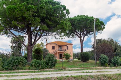 Piombino Bed & Breakfast | Villa Orta - Agriturismo con cucina Vegan, Plant-based Farmhouse
