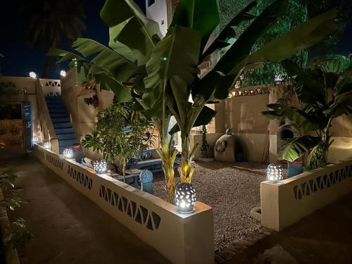 Luxor House | Villa Rebecca Professor's paradise