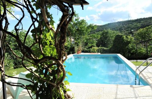 Balchik Villa | Villa Regina Serafina