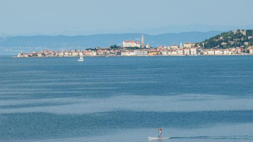 Crveni Vrh Apartment | Villa Riva