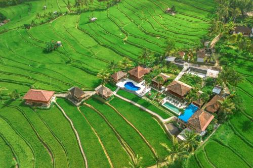 Munduk Bed & Breakfast | Villa Sande