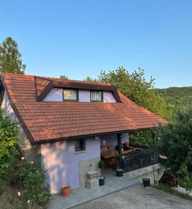 Samobor House | Villa Sandra