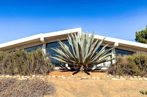 Valle de Guadalupe Apartment | Villa Sauvignon Viñedo Privado Valle De Guadalupe